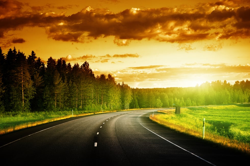 Asphalt road in forest