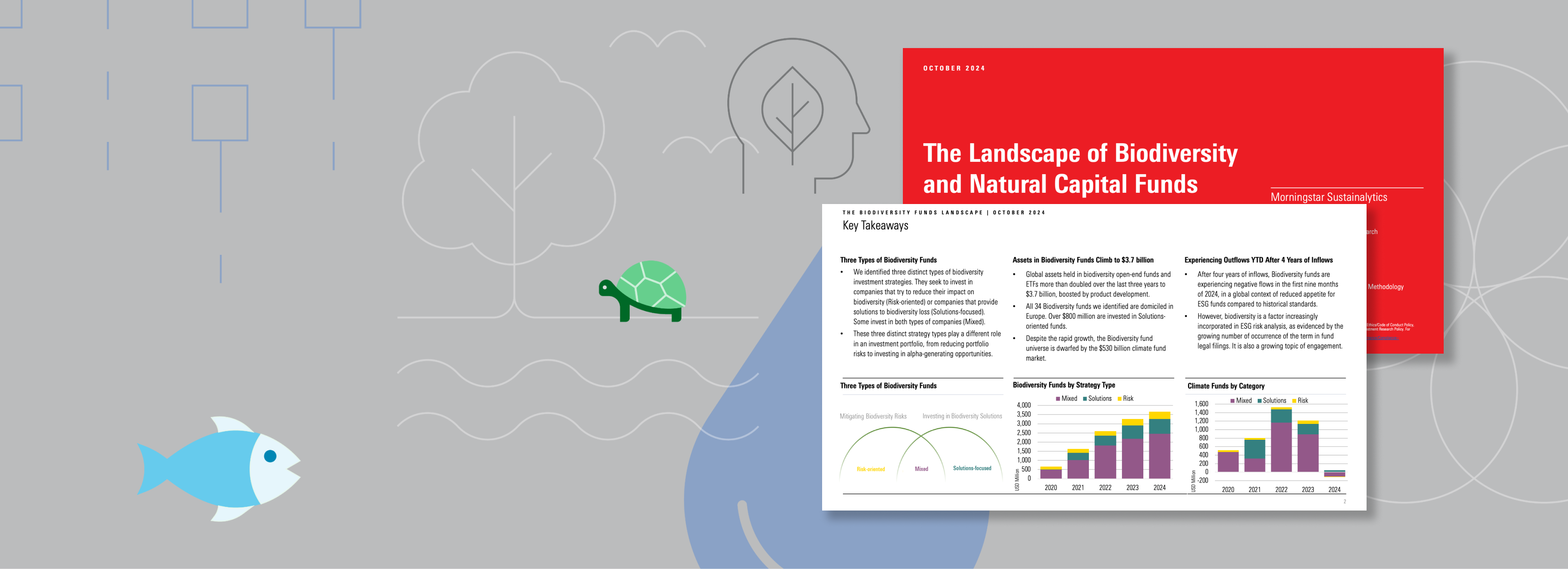 The Landscape of Biodiversity and Natural Capital Funds Report