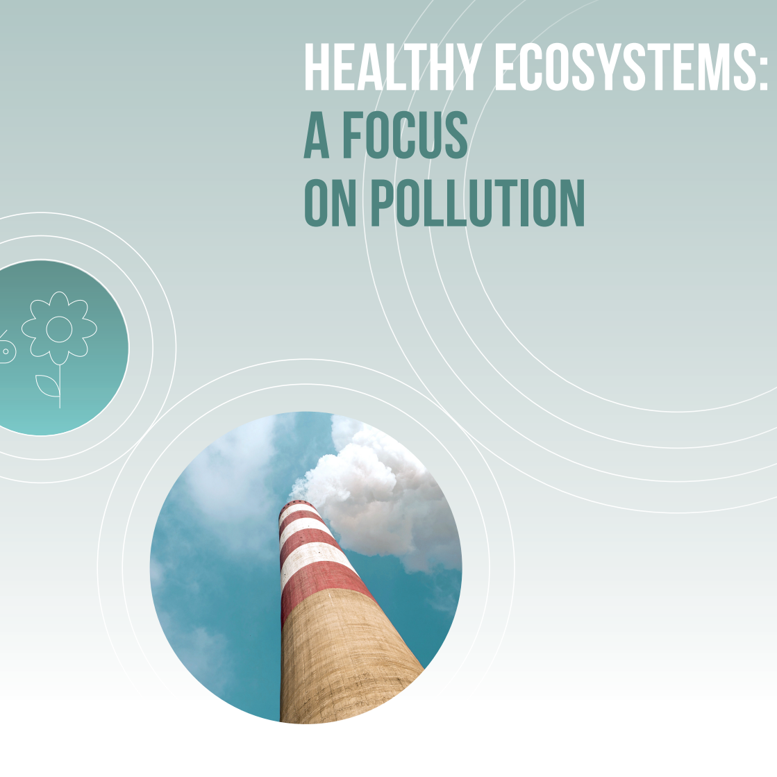 MS - Healthy Ecosystem Banner-1