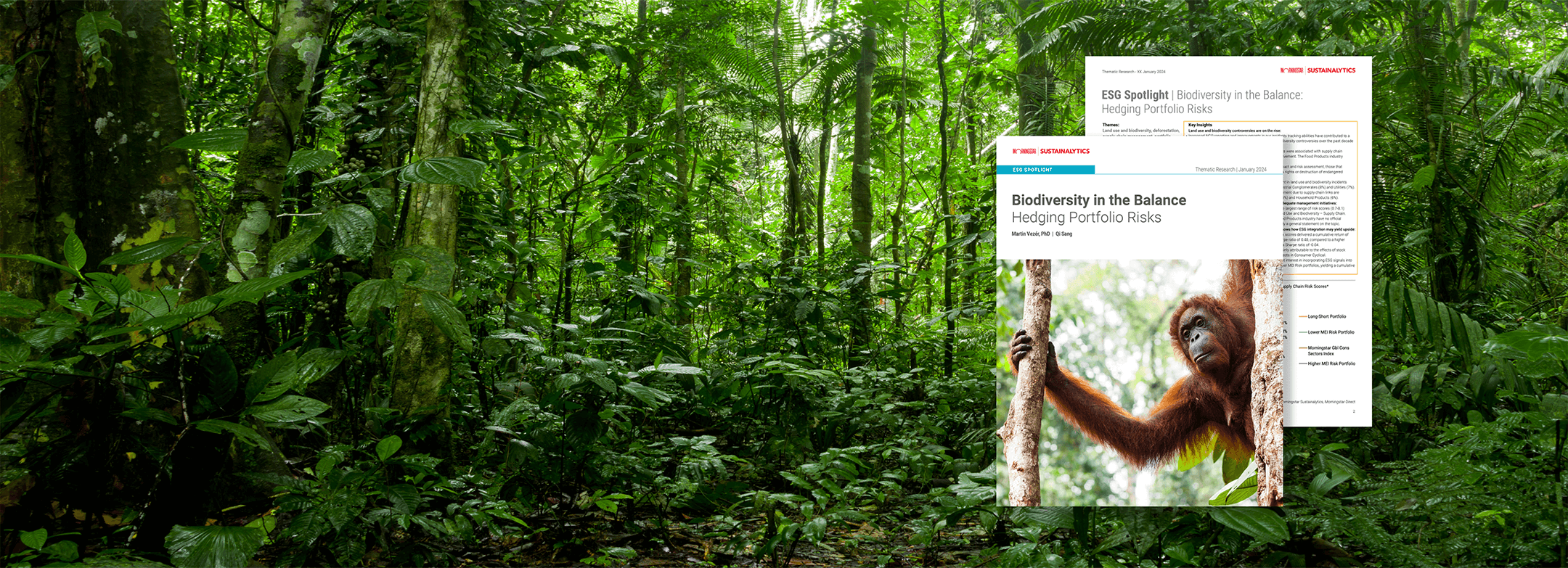 Biodiversity in the Balance - ESG Spotlight