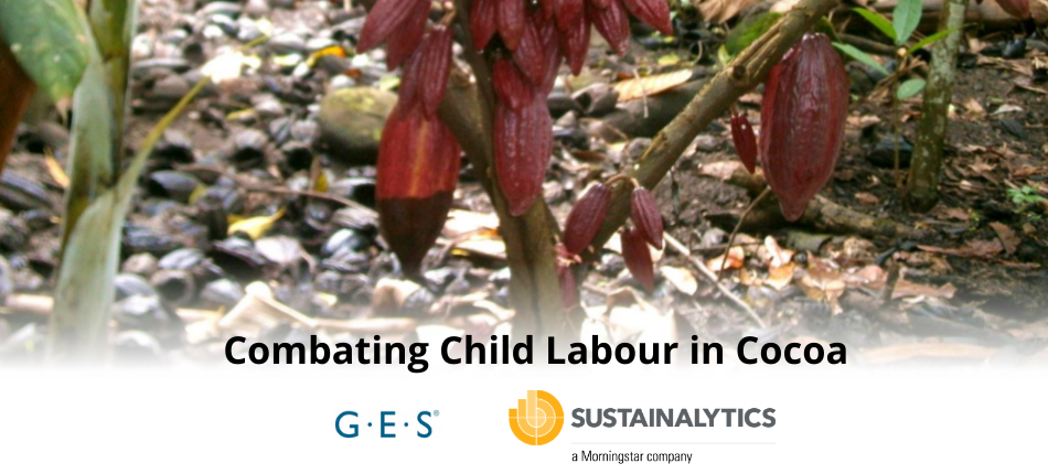 Copy of cocoa child labour Copy of cocoa child labour