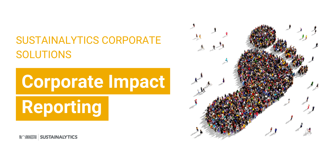 Corporate Impact Reporting Brochure Image