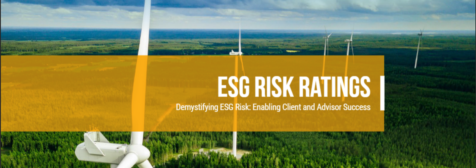 Risk Ratings Education Banner-1